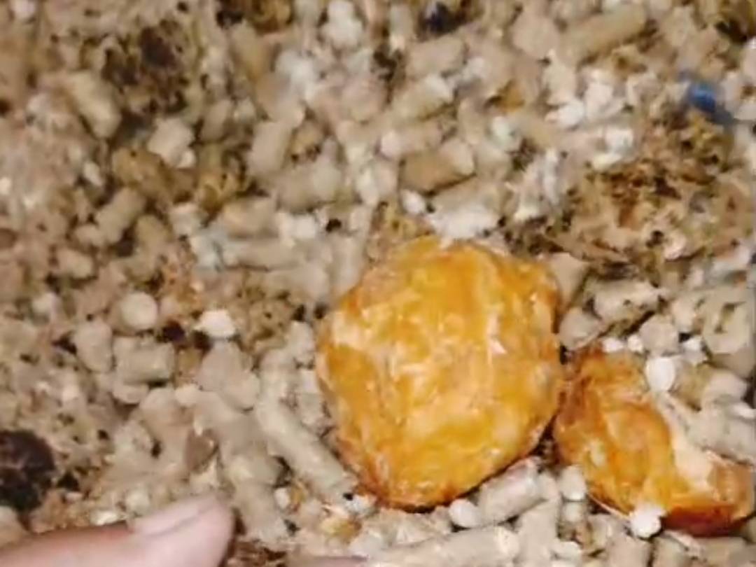 Mineral Mix Feed बिक्री के लिए, जयपुर, राजस्थान