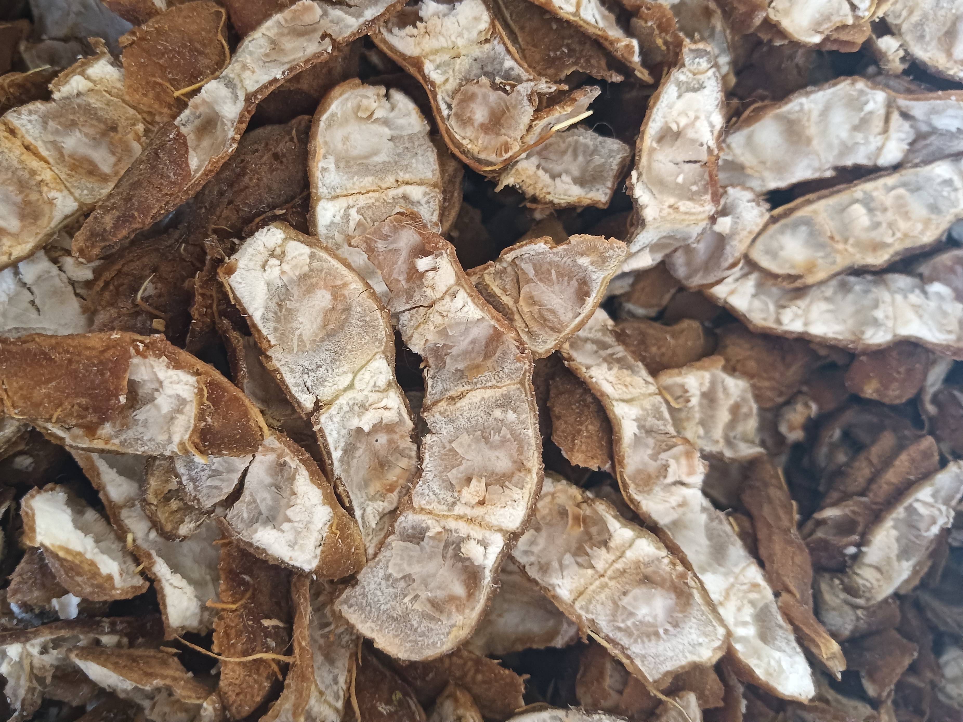 Sweet Tamarind for sale in Indore, Madhya Pradesh