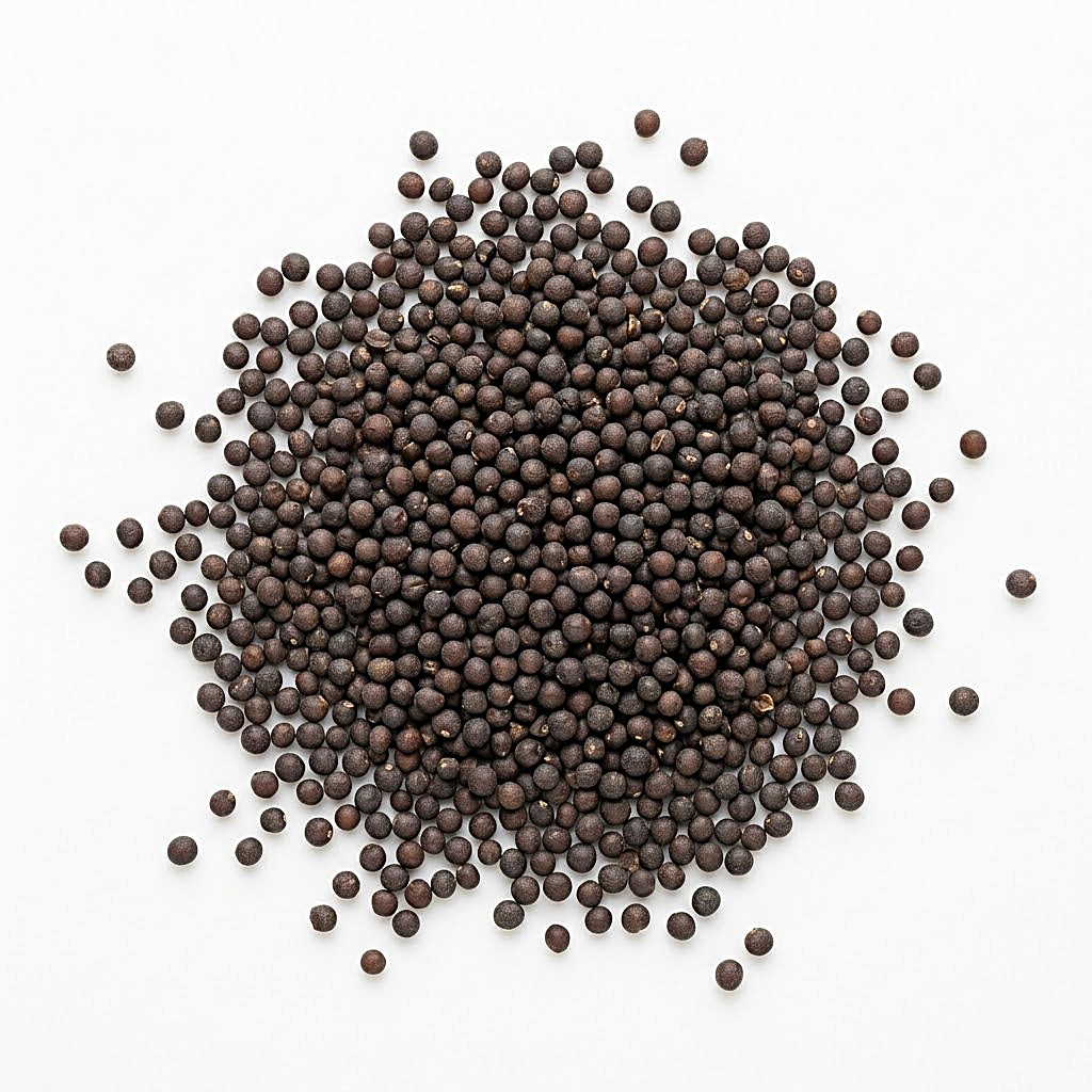 Mustard Black Mustard for sale in Jalor, Rajasthan