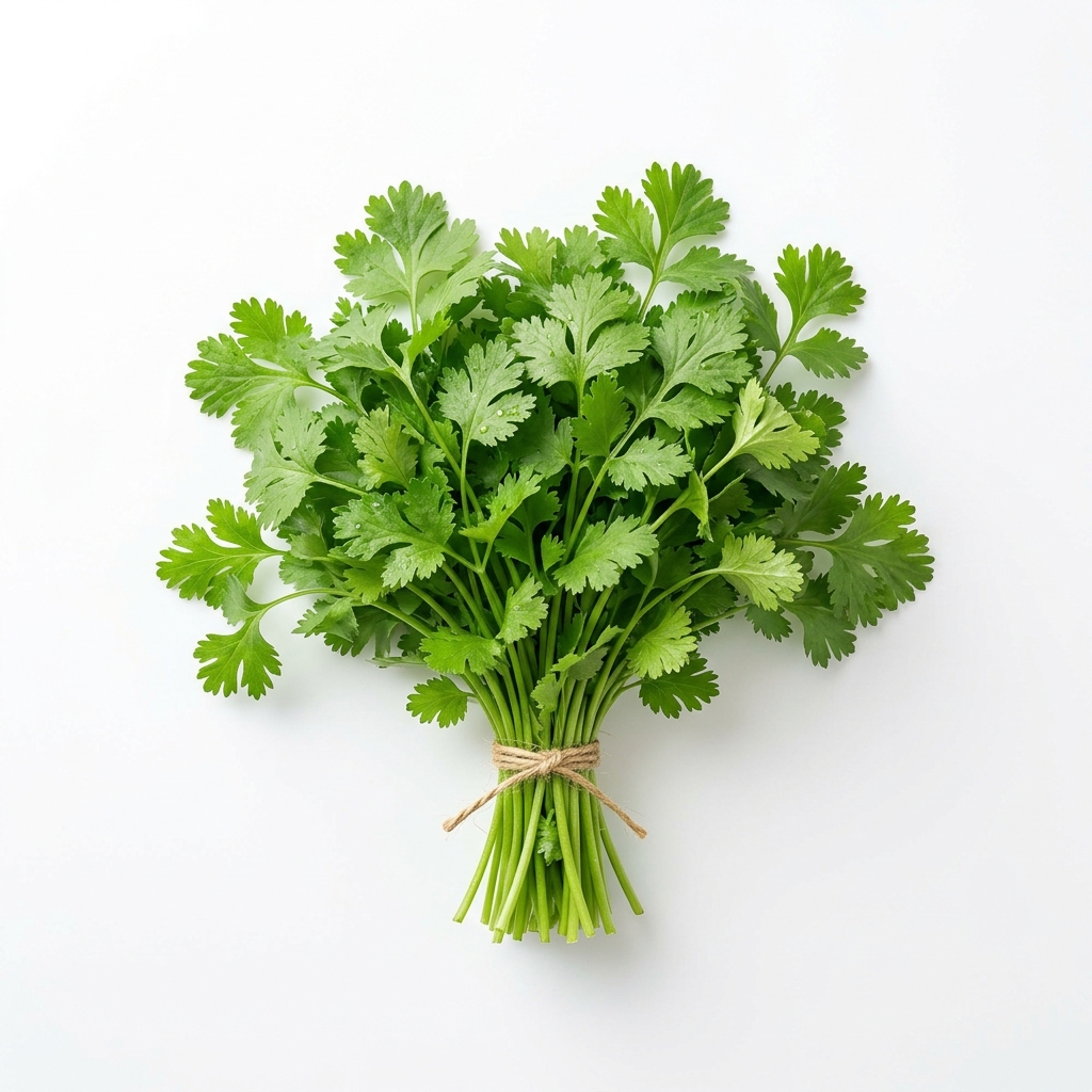 Coriander Leaves Coriander Leave for sale in Basweshr nagar Degaon Solapur