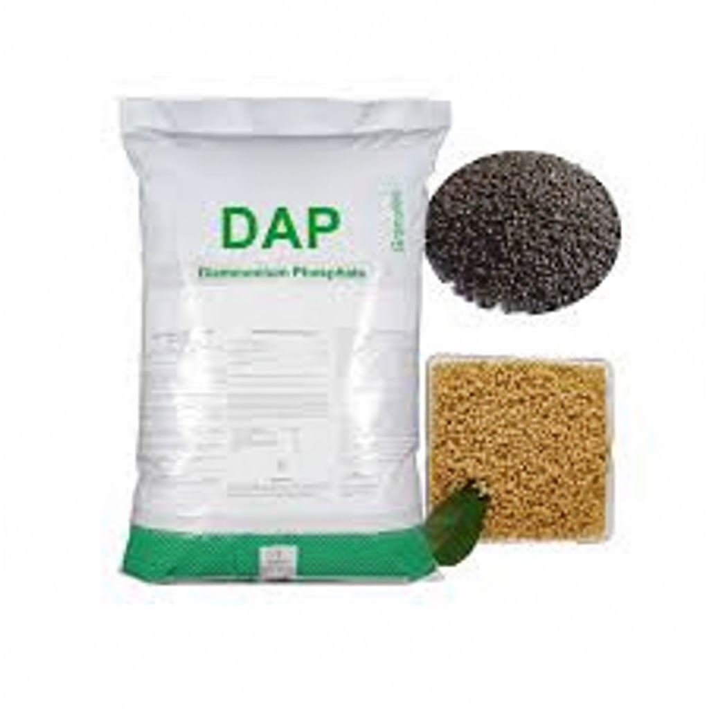 फॉस्फेट खाद DAP Phosphatic