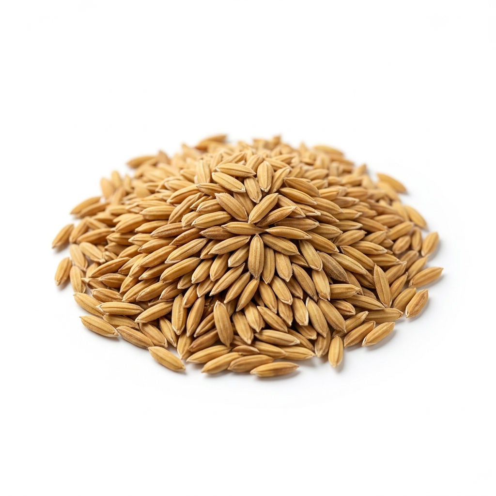 Paddy Paddy 1010 for sale in नरसिंहपुर