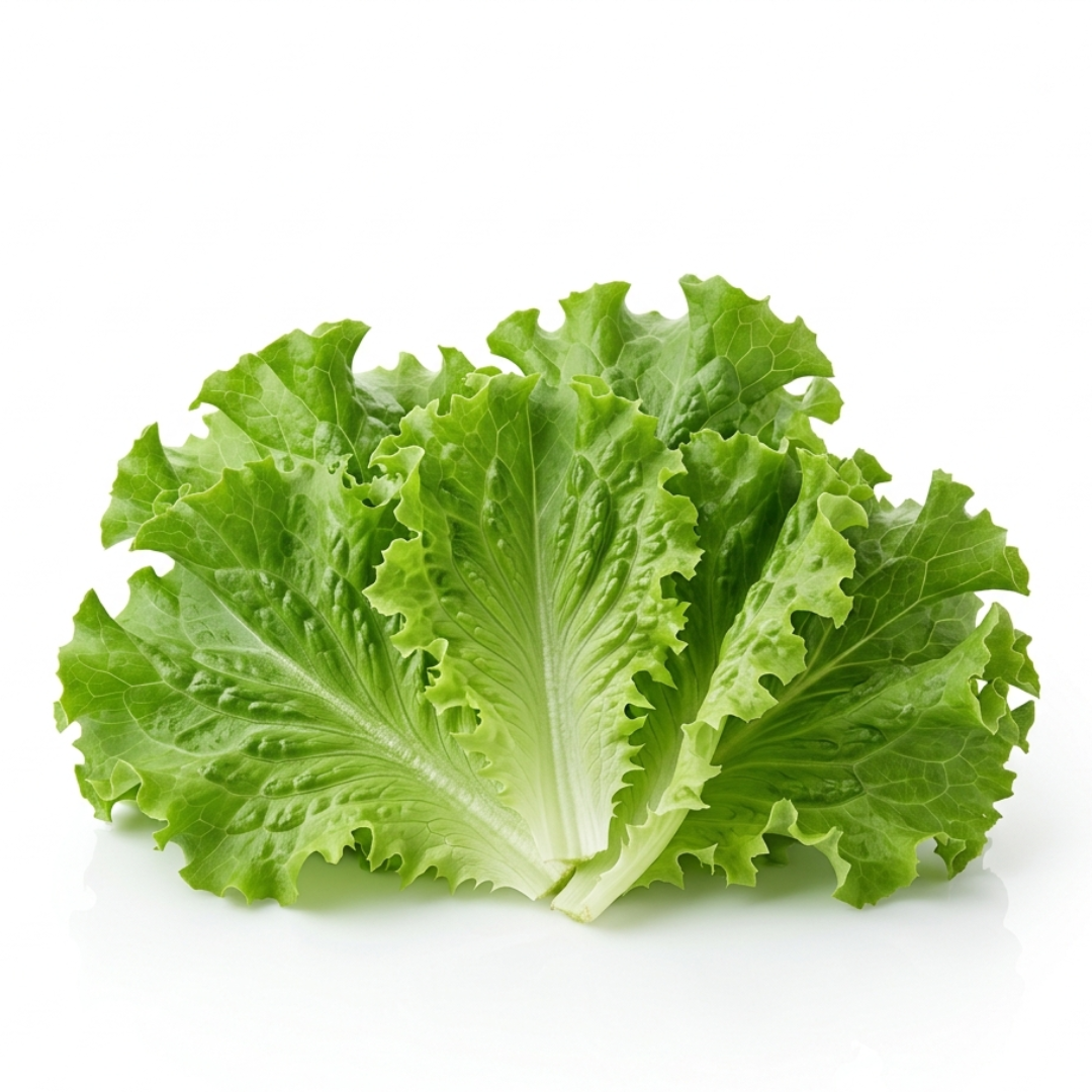 Lettuce Leaves