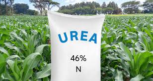 नाइट्रोजन खाद Prilled urea fertilizer