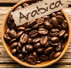 कॉफी Arabica Coffee