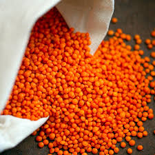Lentils (Masoor)