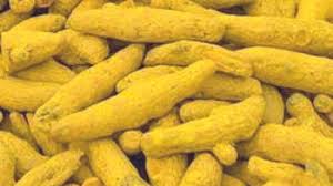 Turmeric Rajapuri