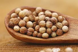 Coriander Seeds Russian Coriander