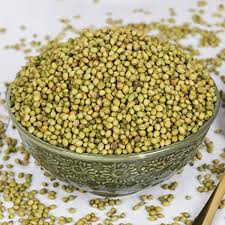 Coriander Seeds Green Coriander