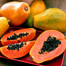 Papaya Red Lady for sale in Muzaffarnagar, Uttar Pradesh