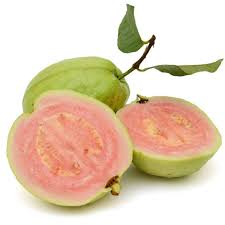Guava Taiwan Pink for sale in Dhar, Madhya Pradesh