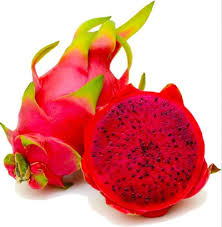 Dragon Fruit Red Dragon Fruit