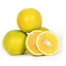 Sweet Lime (Mosambi) Golden Mousambi for sale in Jalna
