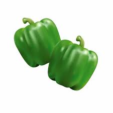 Capsicum