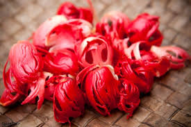 Whole Spices Mace Flower