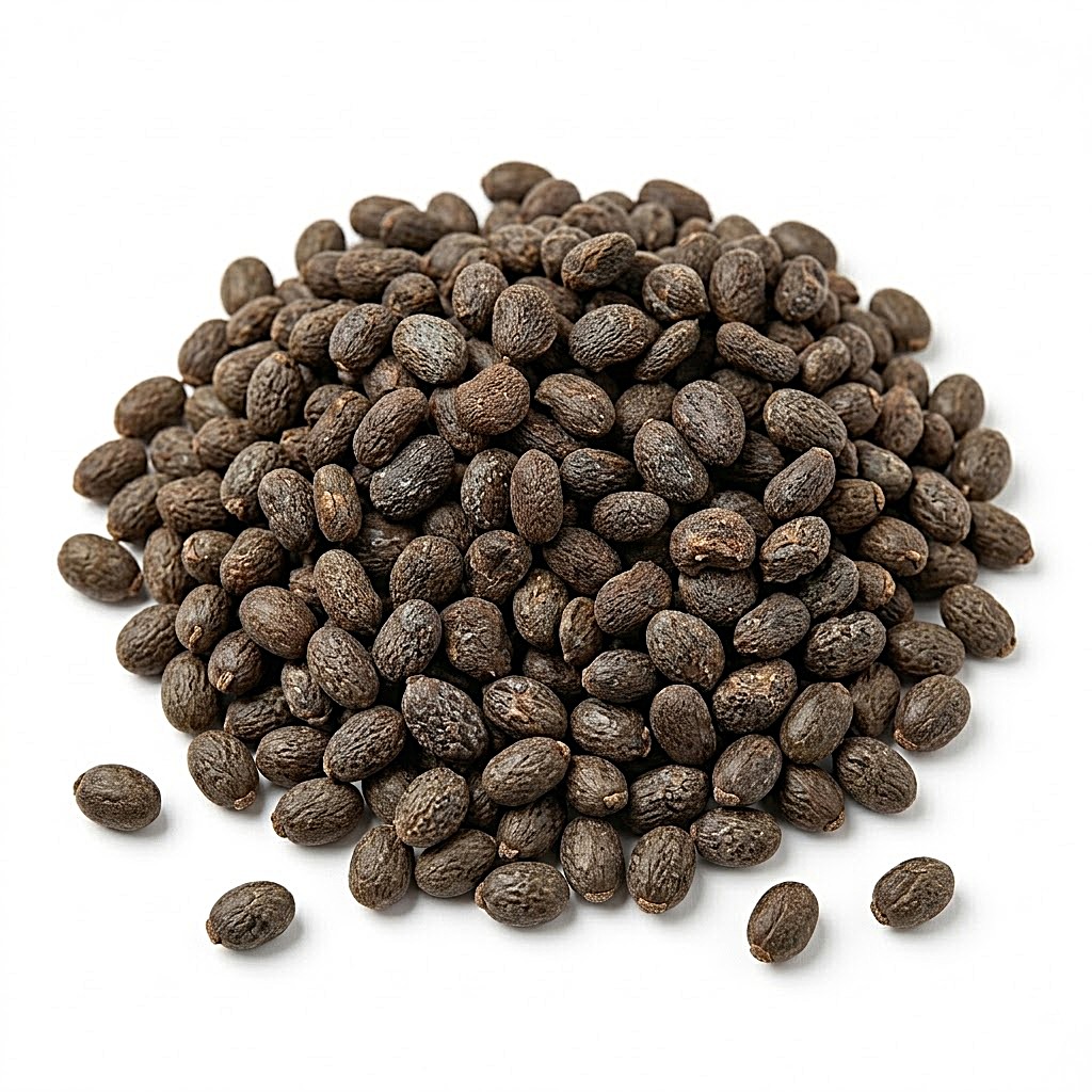 Psoralea Corylifolia Seeds Psoralea Corylifolia