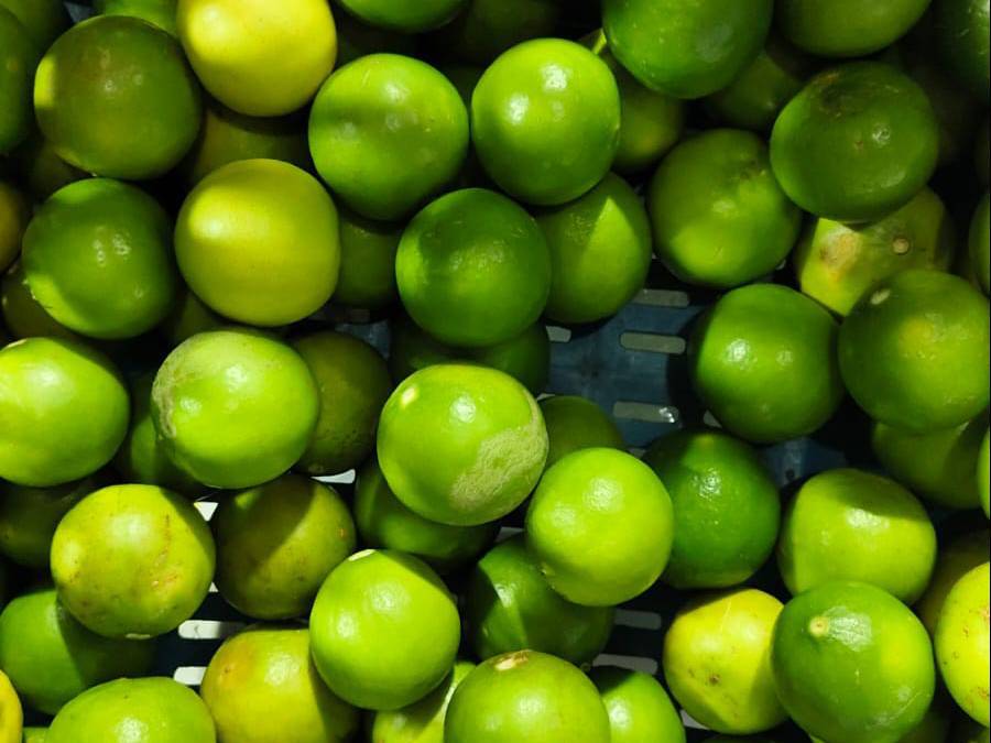 Nemu Tenga विक्रीसाठी, अहिल्यानगर, महाराष्ट्र