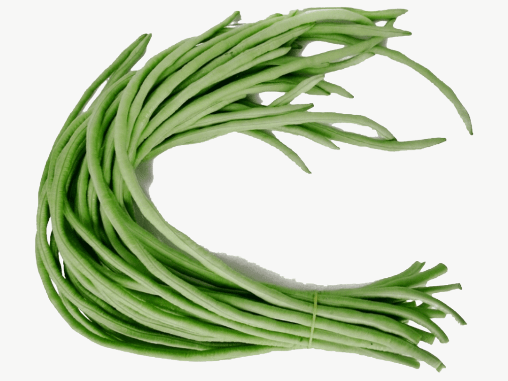 चवळी Speckled Cowpea