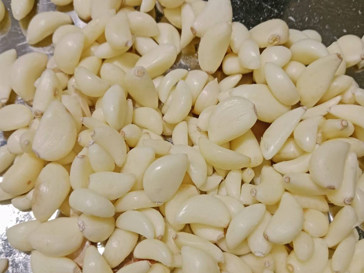 Indian Garlic Powder विक्रीसाठी, चित्तौडगड, राजस्थान