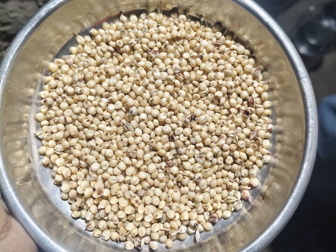 Maldandi 35-1 विक्रीसाठी, छत्रपती संभाजीनगर, महाराष्ट्र