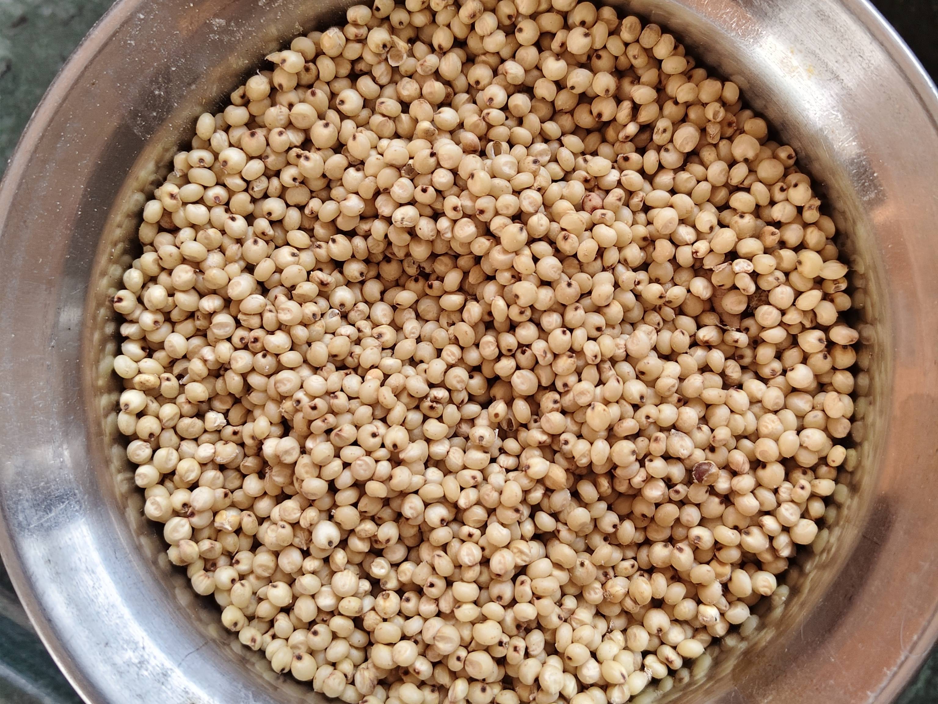 Maldandi 35-1 for sale in Jalgaon, Maharashtra