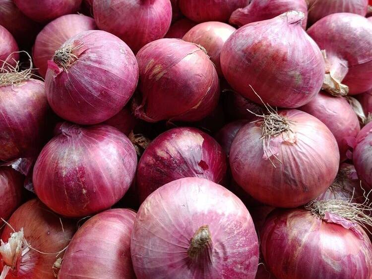 Summer Onion for sale in Nashik, Maharashtra