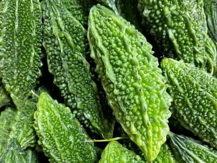 Green Bitter Gourd for sale in Pune, Maharashtra