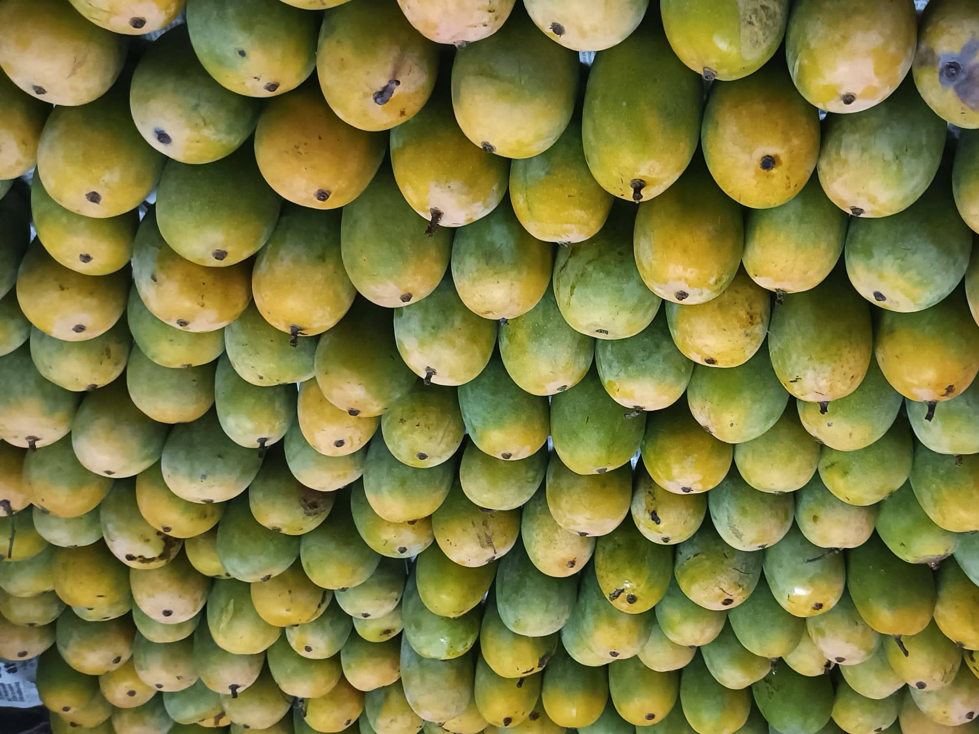 Kesar विक्रीसाठी, सांगली, महाराष्ट्र