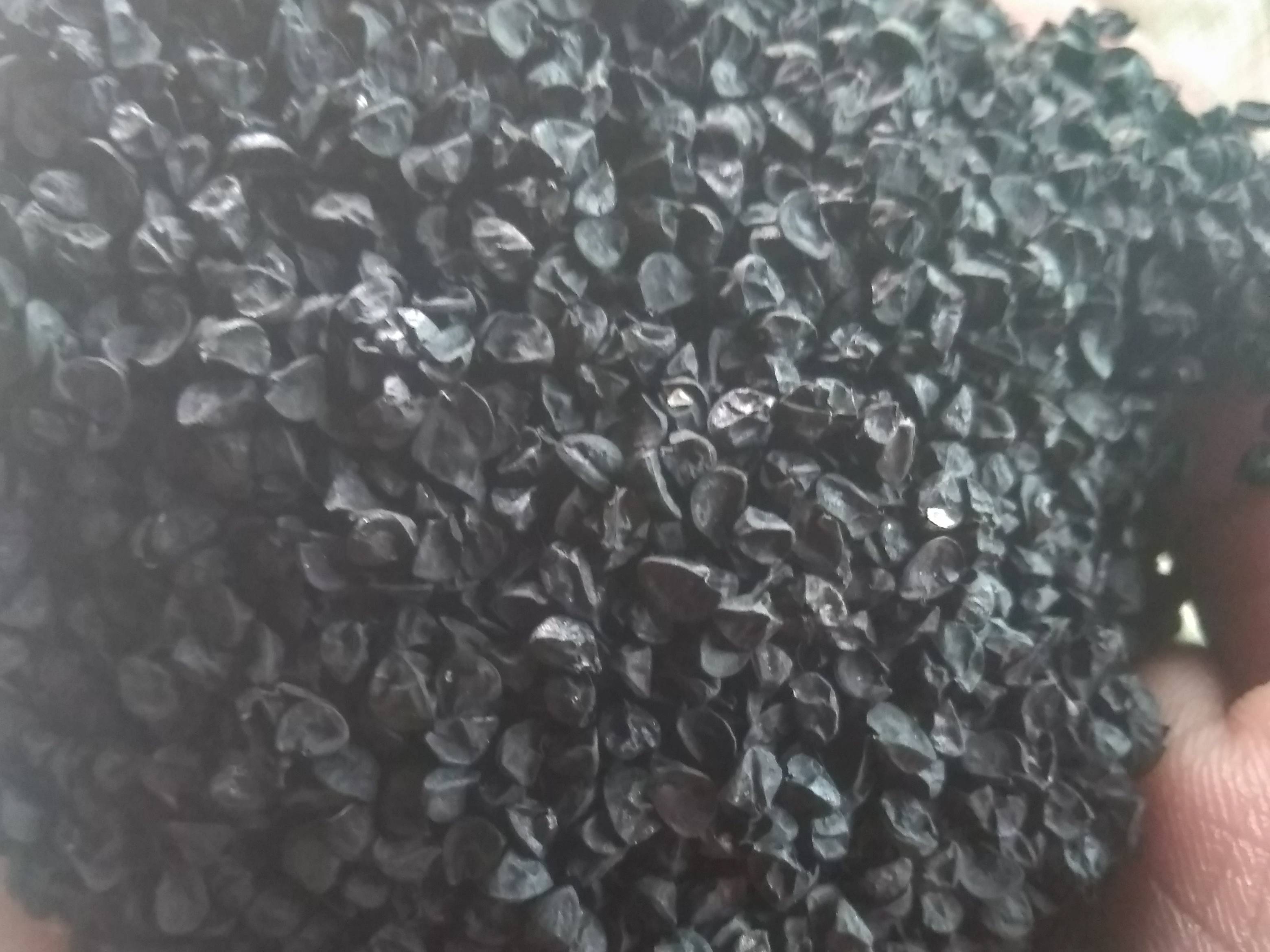 कांद्याच्या बियाणे Pink Onion Seeds