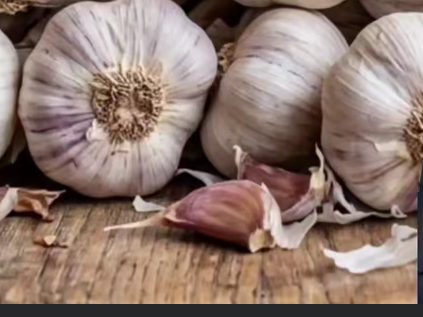 White Garlic विक्रीसाठी, झालावाड, राजस्थान