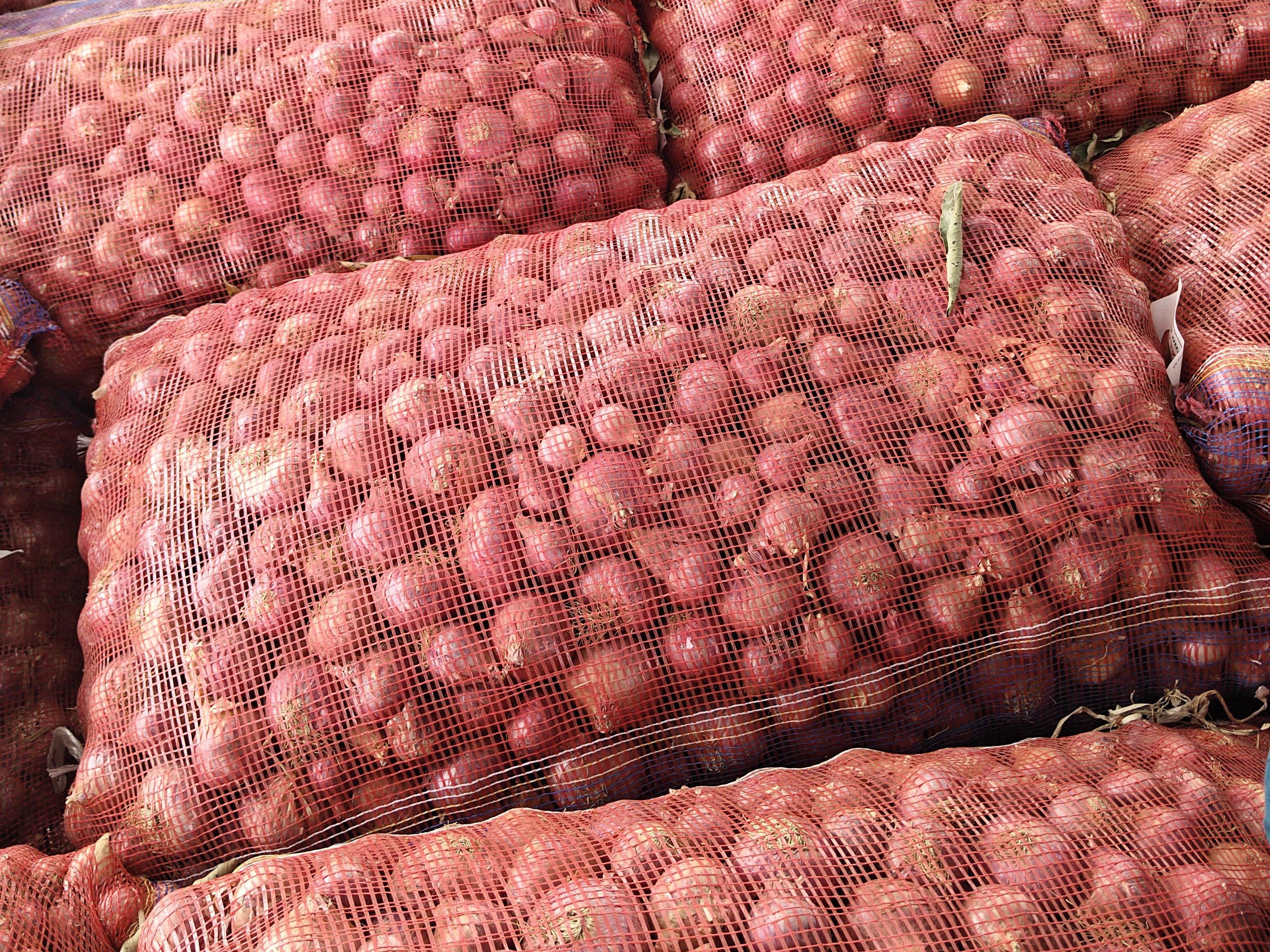 Summer Onion for sale in Guna, Madhya Pradesh