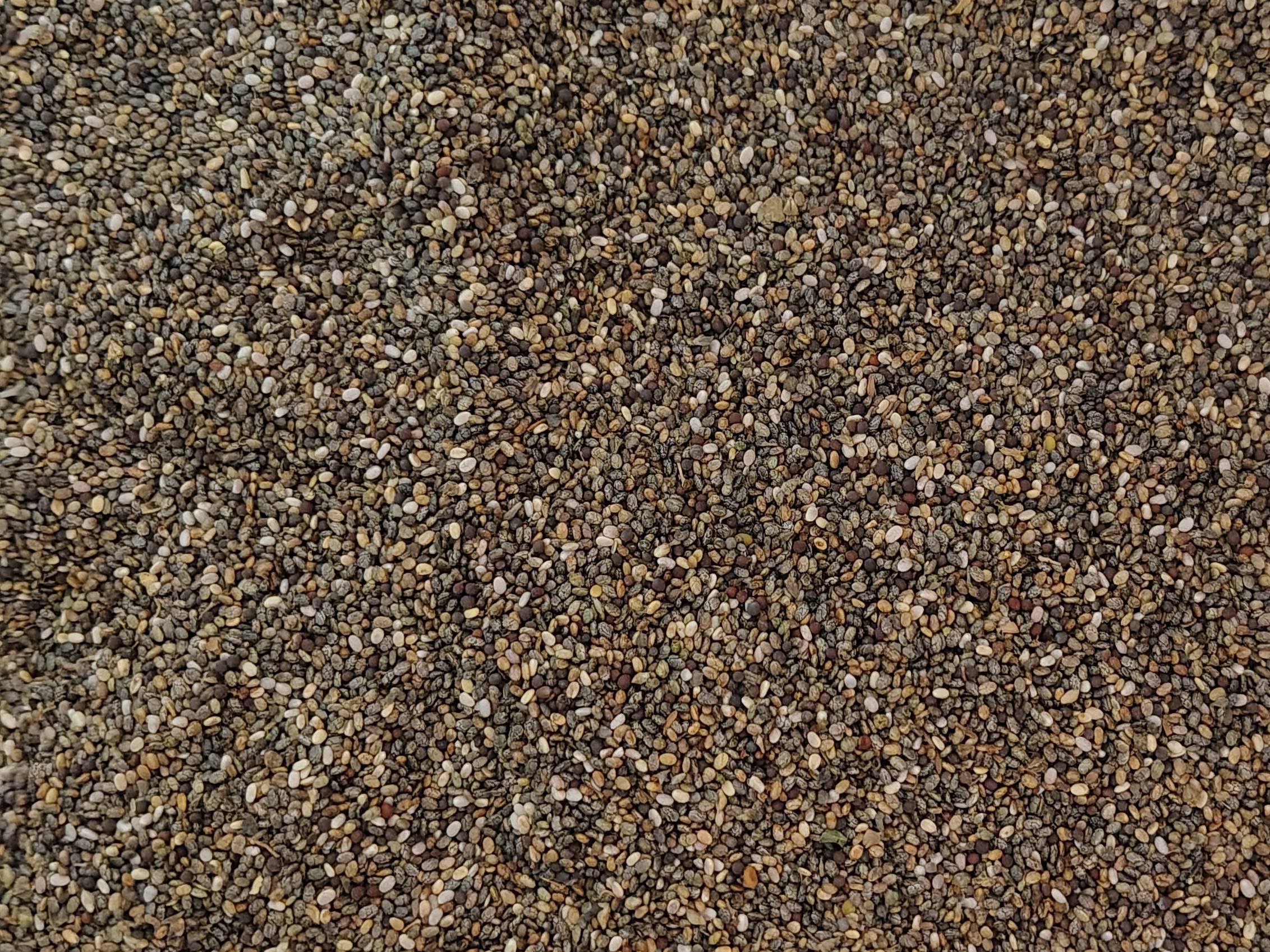 Mixed Chia Seeds for sale in Wardha, Maharashtra