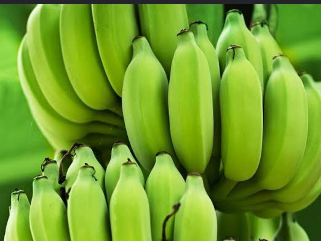 Banana Powder बिक्री के लिए, नासिक, महाराष्ट्र