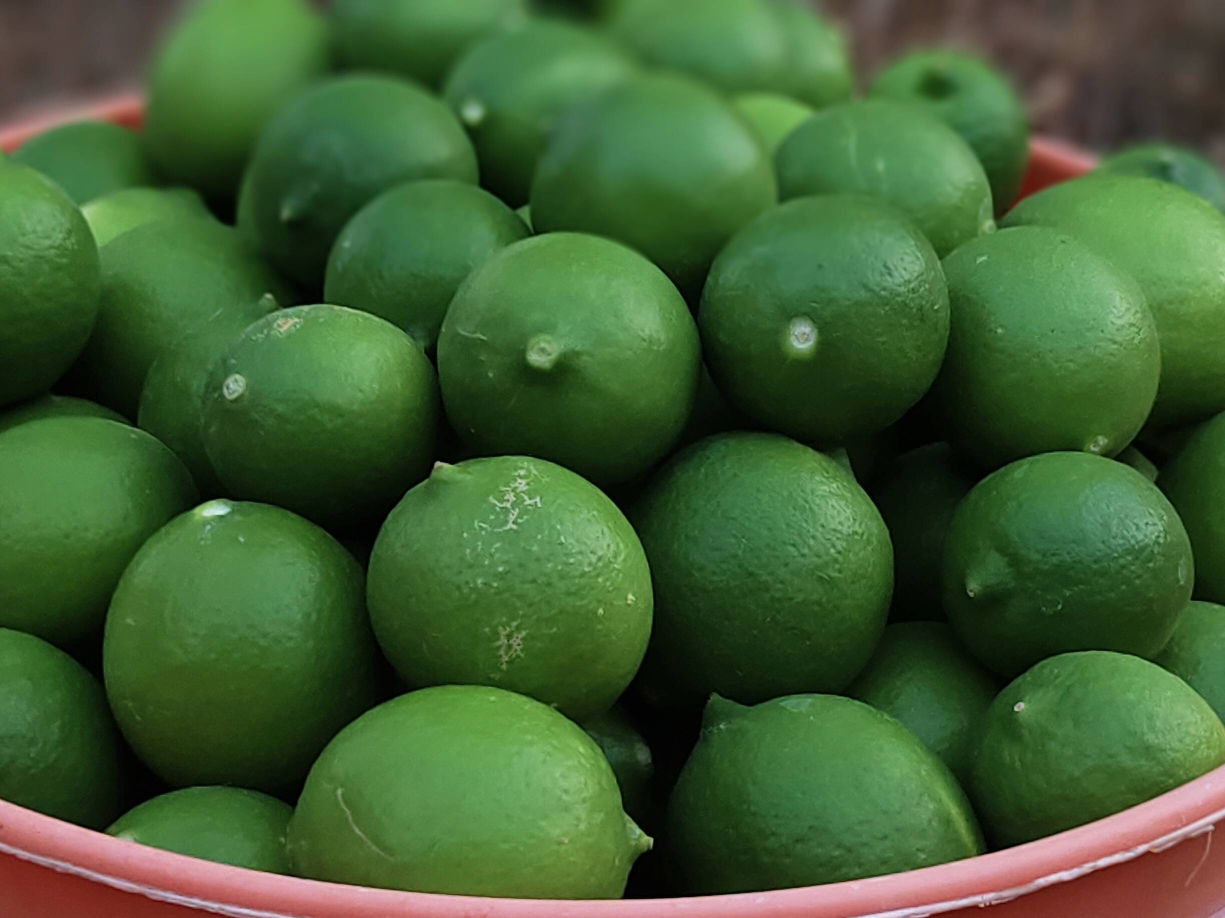 Kagzi Lime बिक्री के लिए, जालौर, राजस्थान