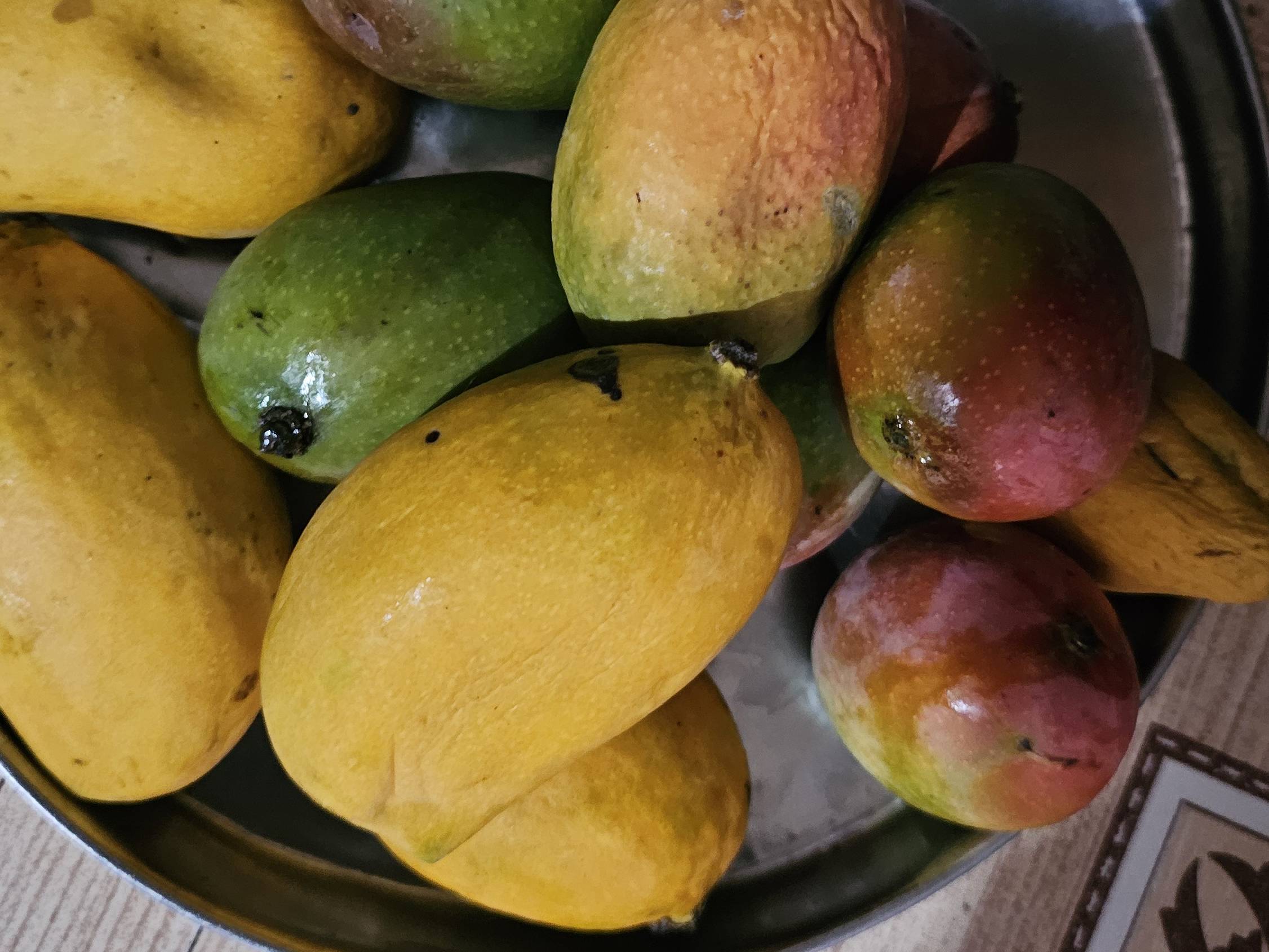 Totapuri for sale in Beed, Maharashtra