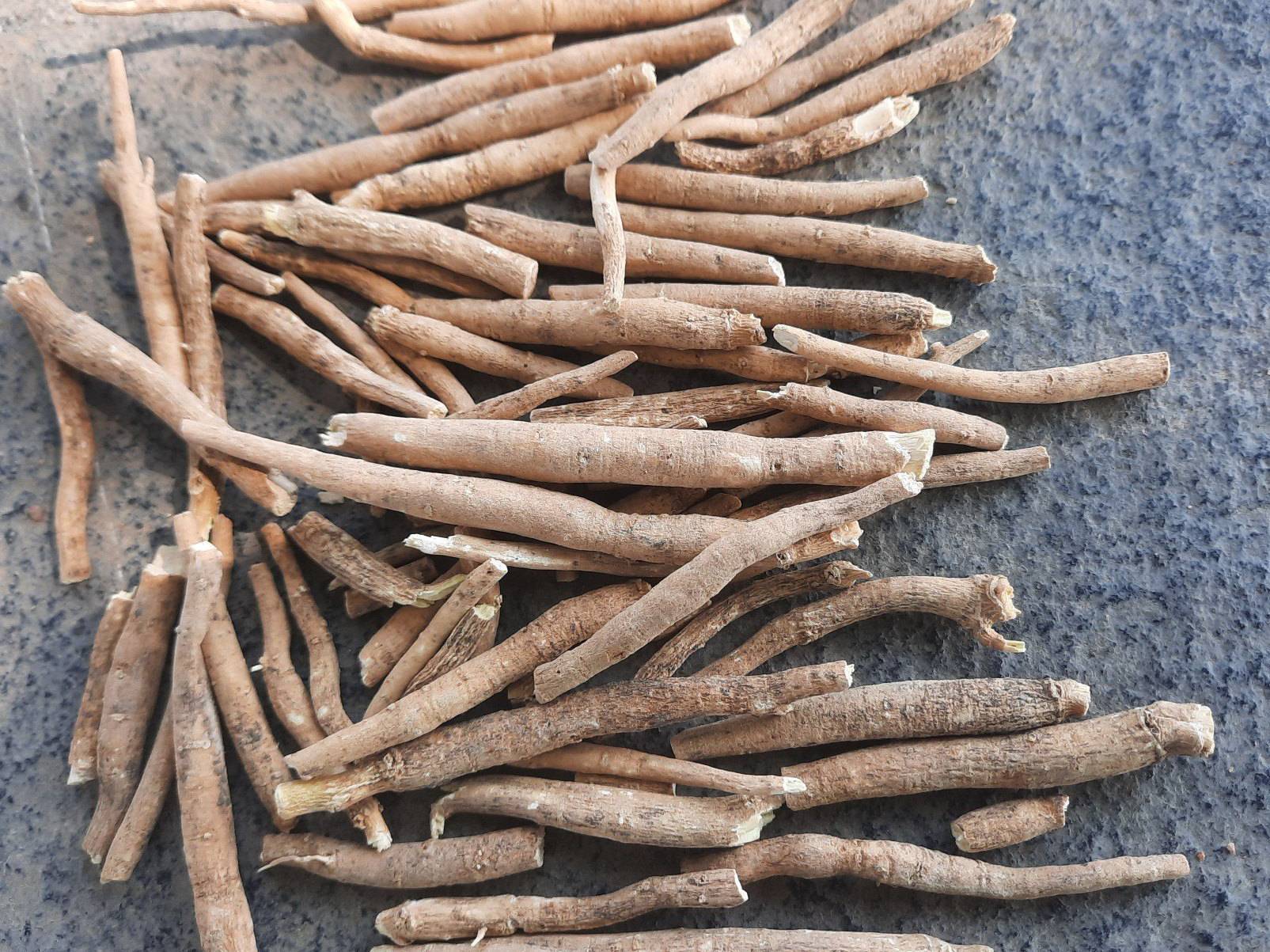 Ashwagandha Plants बिक्री के लिए, झालावाड़, राजस्थान
