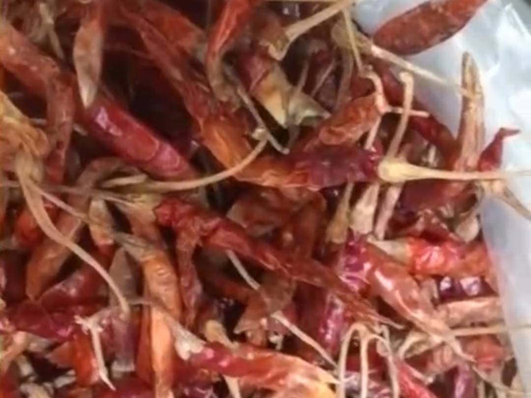 Dry Red Chilli बिक्री के लिए, पश्चिमी दिल्ली, दिल्ली