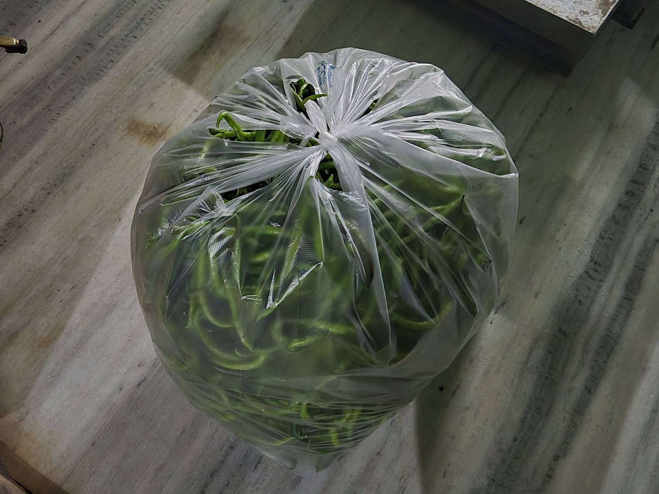 Green Chilli for sale in Kolhapur, Maharashtra