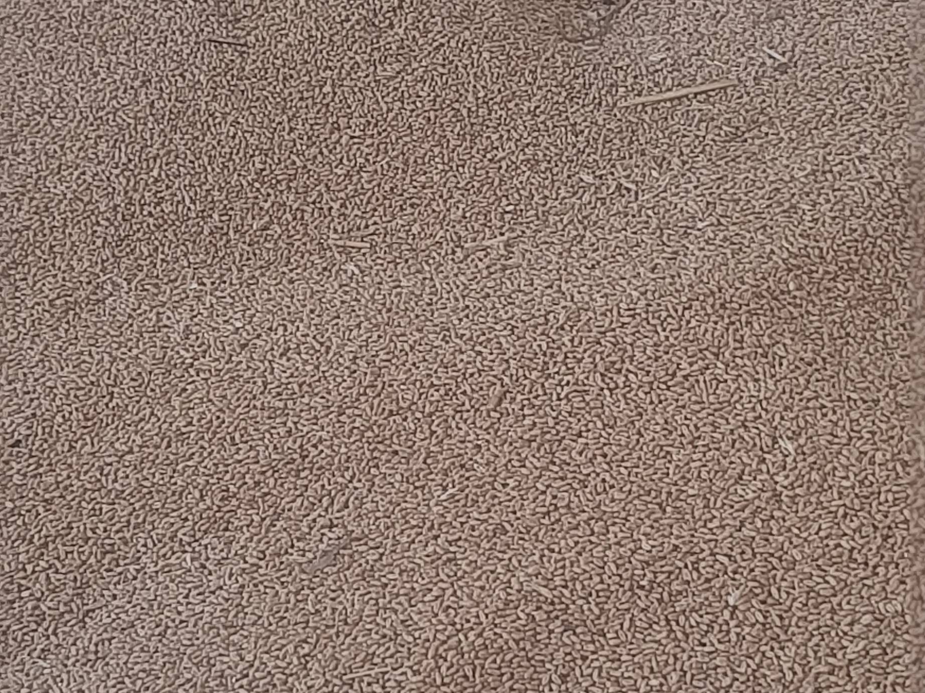 Durum विक्रीसाठी, सिवनी, मध्य प्रदेश