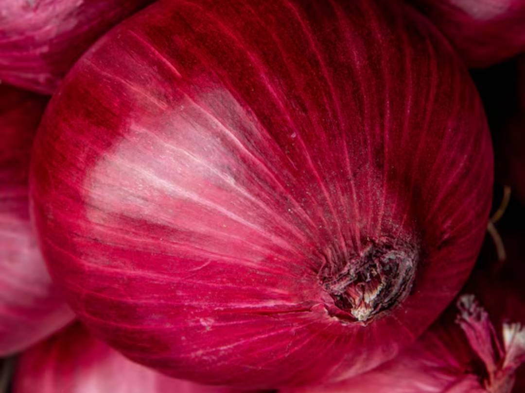 Red Onion बिक्री के लिए, नासिक, महाराष्ट्र