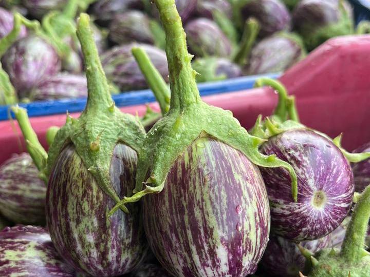 Striped Brinjal (purple) बिक्री के लिए, सोलापुर, महाराष्ट्र