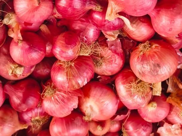 Red Onion विक्रीसाठी, नाशिक, महाराष्ट्र