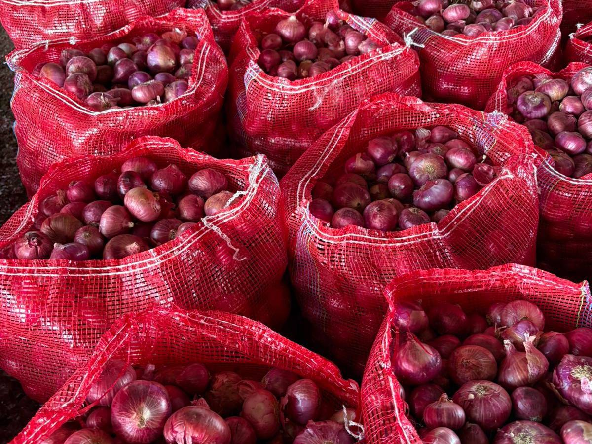 Red Onion for sale in Thane, Maharashtra