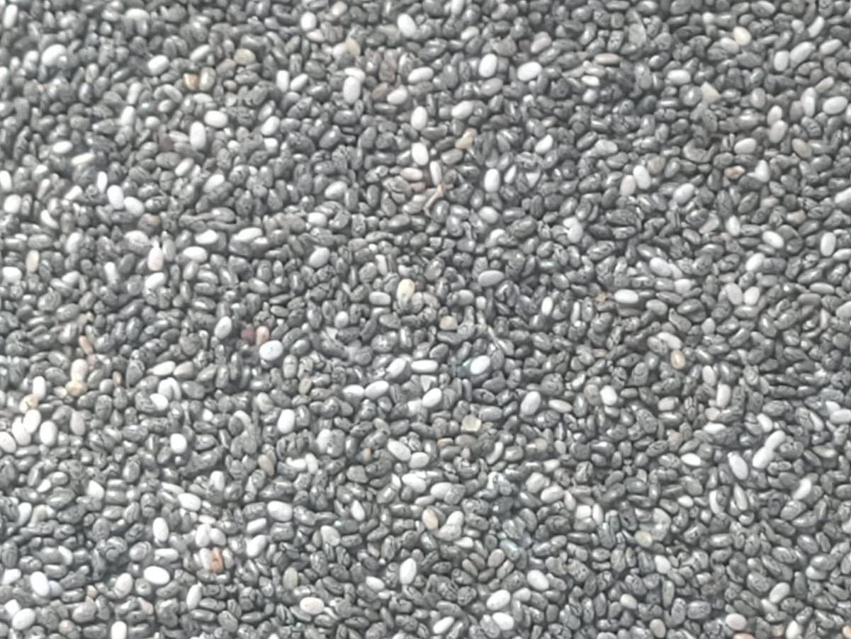 Mixed Chia Seeds बिक्री के लिए, बुलढाणा, महाराष्ट्र
