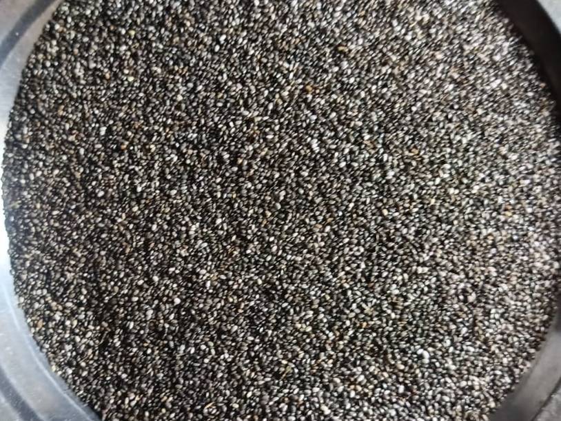Mixed Chia Seeds बिक्री के लिए, बुलढाणा, महाराष्ट्र