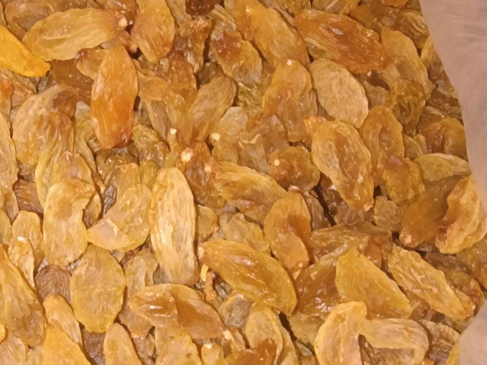 Anab-e-Shahi Raisins बिक्री के लिए, सोलापुर, महाराष्ट्र