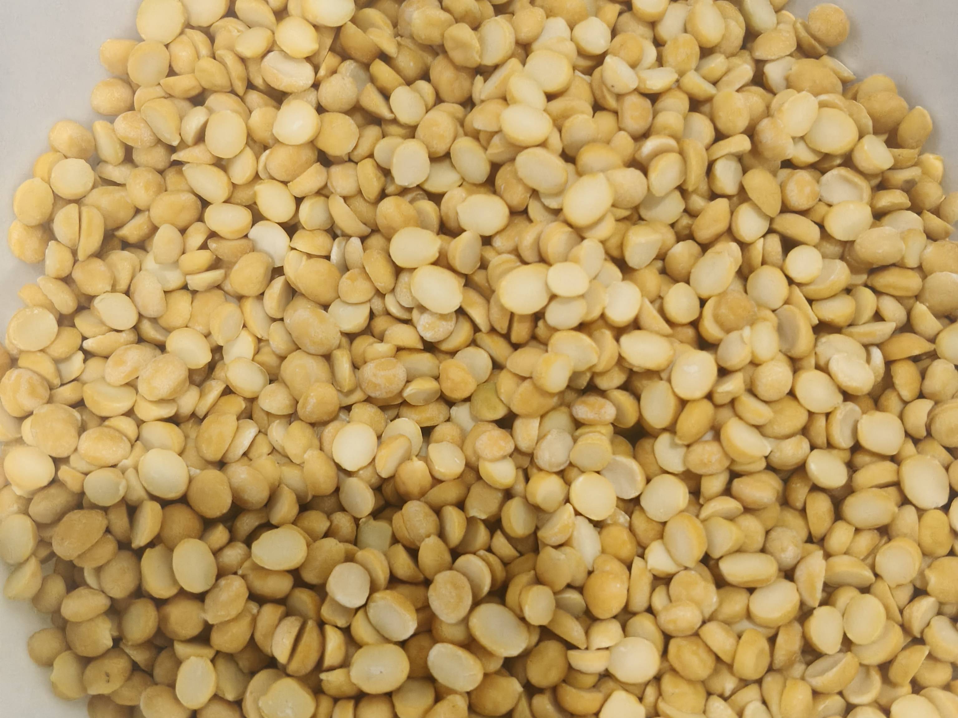 Desi Chickpeas बिक्री के लिए, अहिल्यानगर, महाराष्ट्र