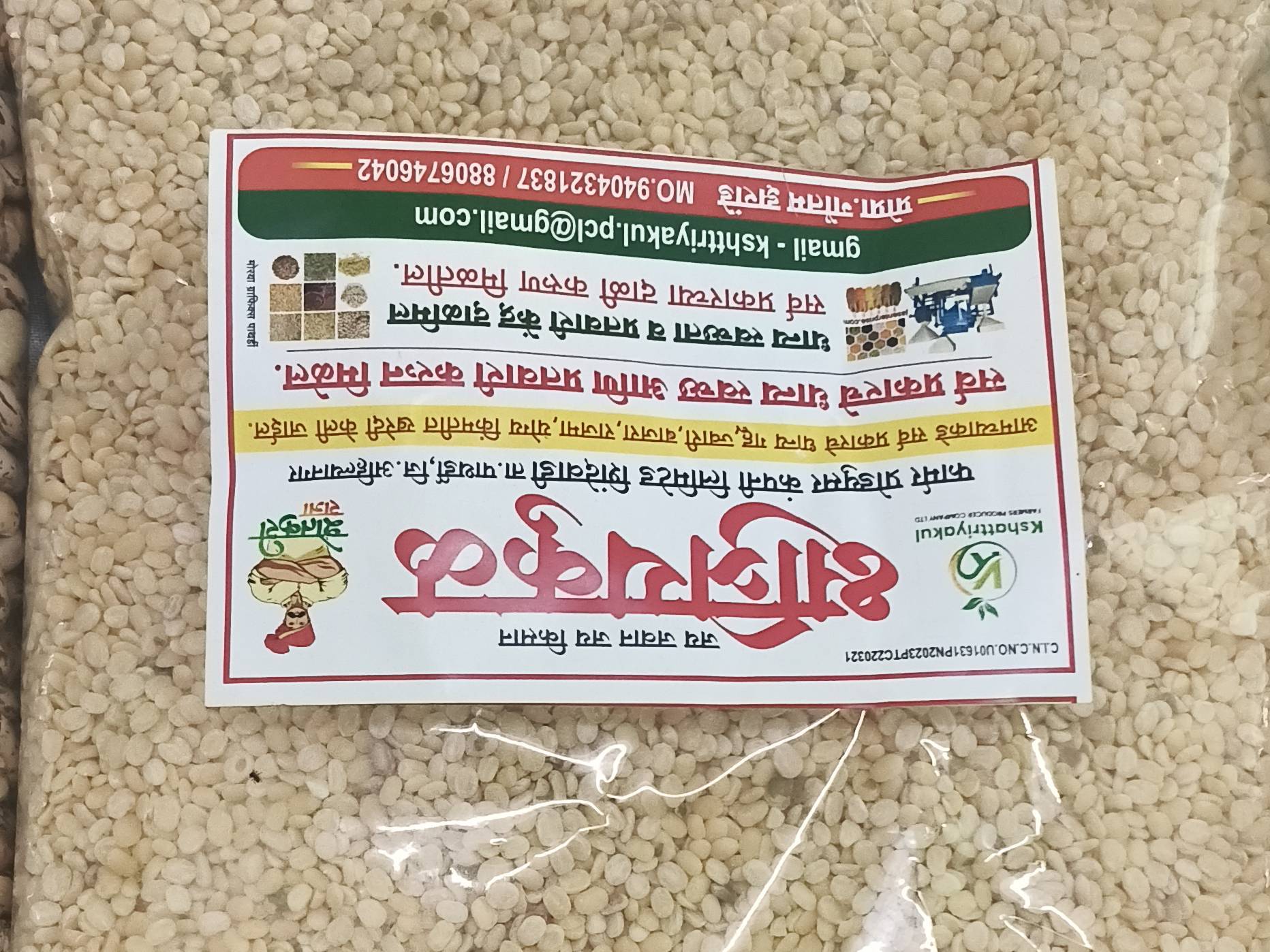 Desi Chickpeas बिक्री के लिए, अहिल्यानगर, महाराष्ट्र