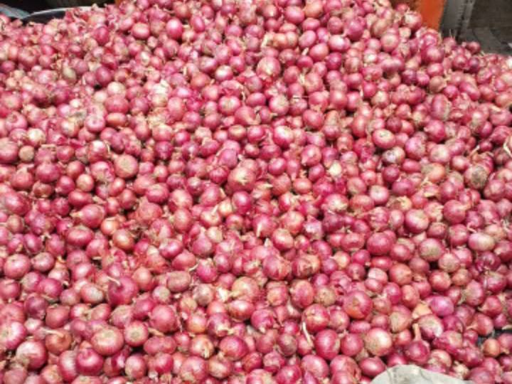 Red Onion विक्रीसाठी, नाशिक, महाराष्ट्र