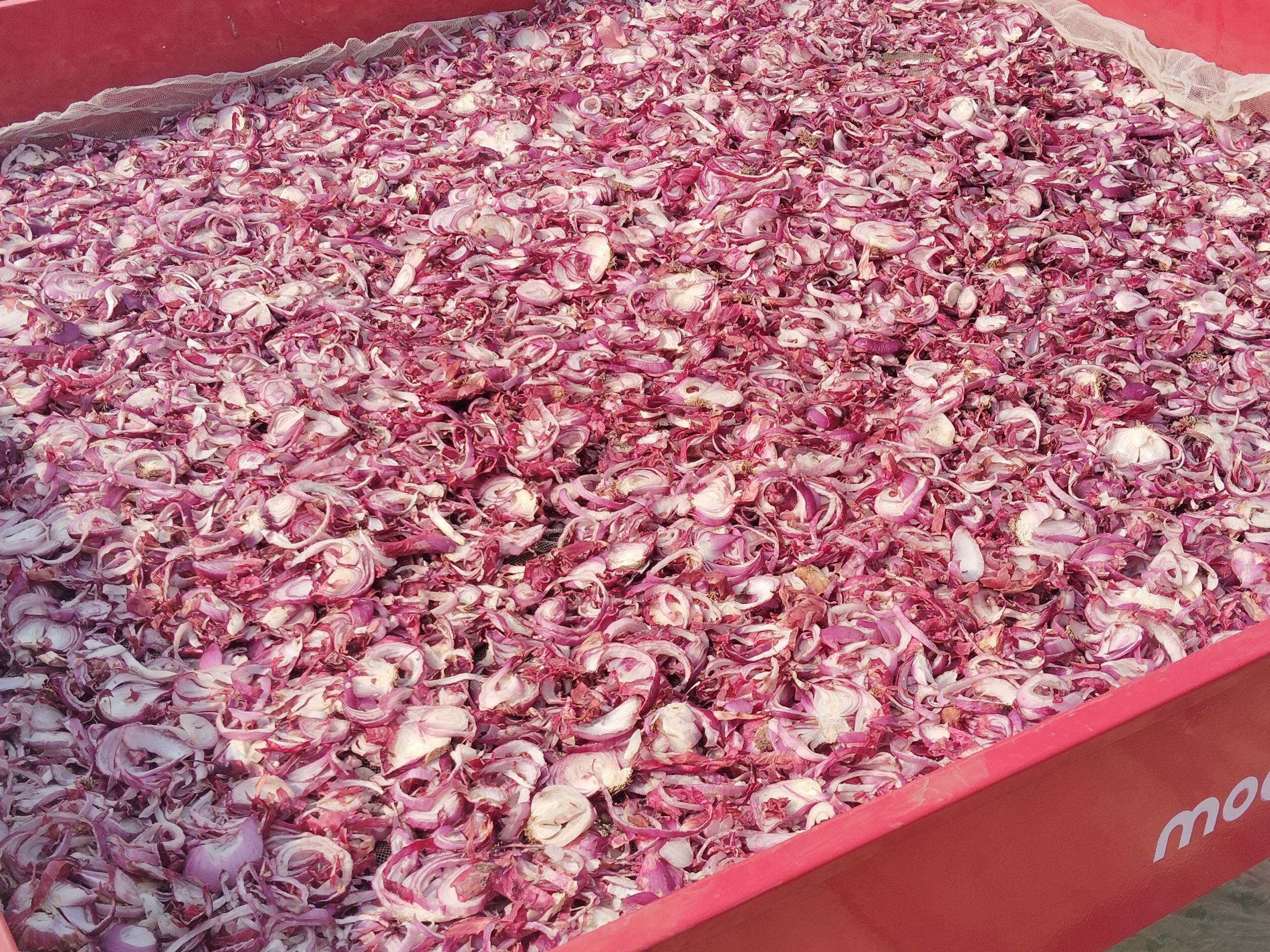 निर्जलित भाजीपाला Onion Flakes